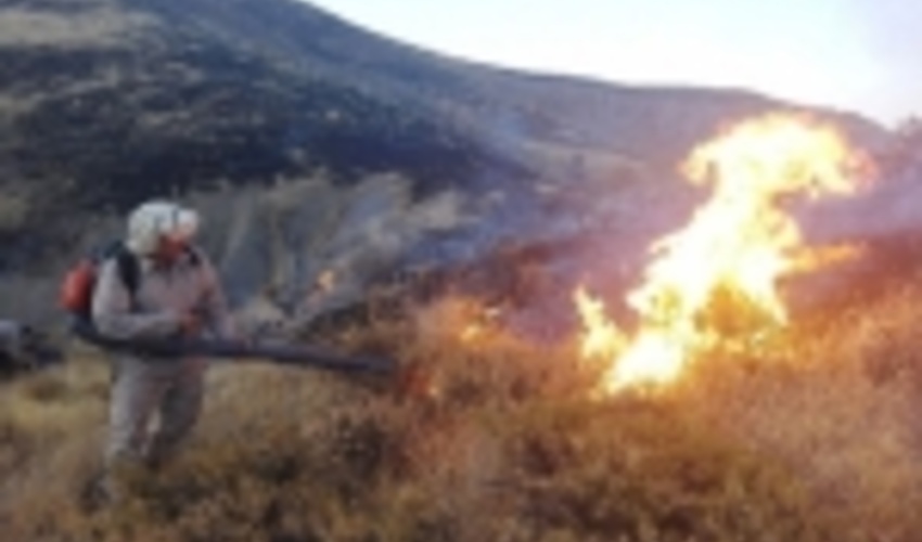 MPO Allocated 150 Billion RLs for Aerial Forest Fire Control