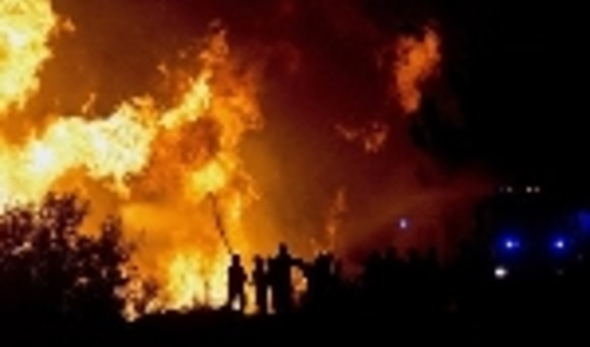 کرمانشاه/ 95 درصد از حریق‌های جنگل عامل انسانی دارند