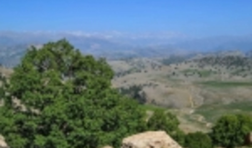  منابع طبیعی جنوب کرمان برای مهار هرگونه حریق در مراتع آماده است