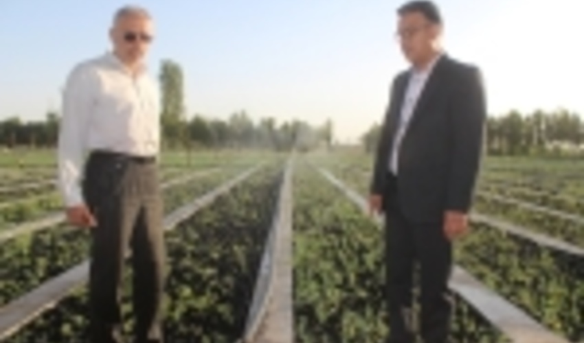 بازدید دست اندرکاران جنگل از طرح‌های جنگل کاری، نهالستان و پارک آبخیز استان مرکزی