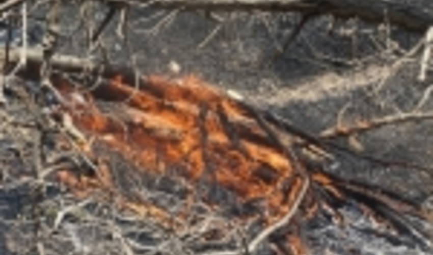 34 ‎هکتار‌ از اراضی‌ ملی استان کرمانشاه درگیر حریق شد