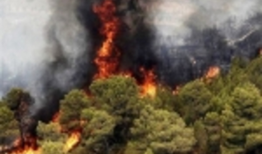 اطلاعات غلط برخی کشاورزان آتش به جان جنگل‌های خوزستان زد