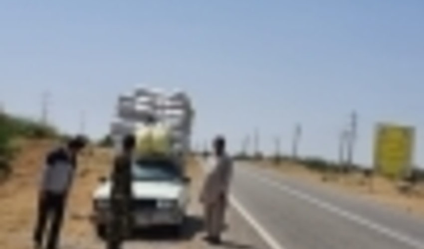 ایجاد گشت های منظم جهت کنترل مبادی قاچاق آویشن در میناب