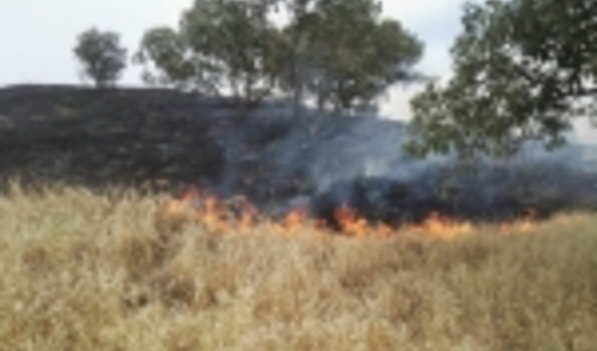 یزد/ پیشگیری از آتش‌سوزی مراتع با مشارکت مردم امکان‌پذیر است