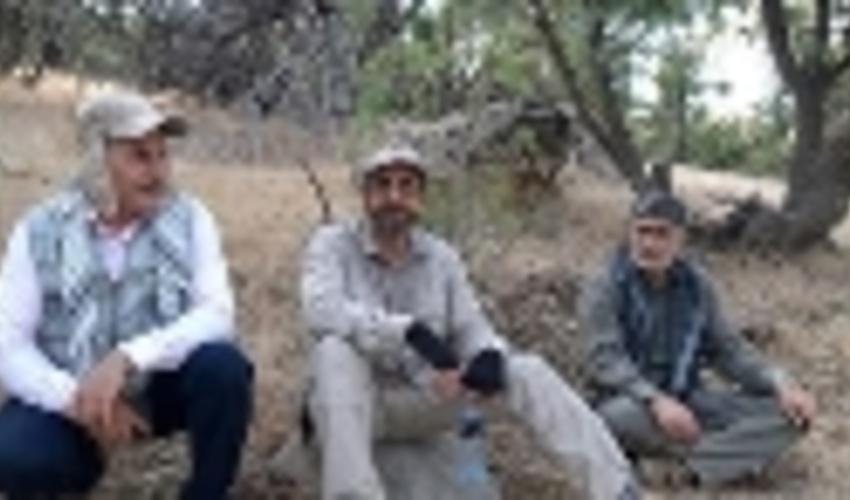 پاکسازی ارتفاعات ایلام از گیاه نیمه انگلی لورانتوس توسط امام جمعه/ تصویر