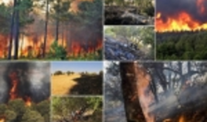 شعله‌های بی‌احتیاطی در کمینِ منابع طبیعی کرمانشاه