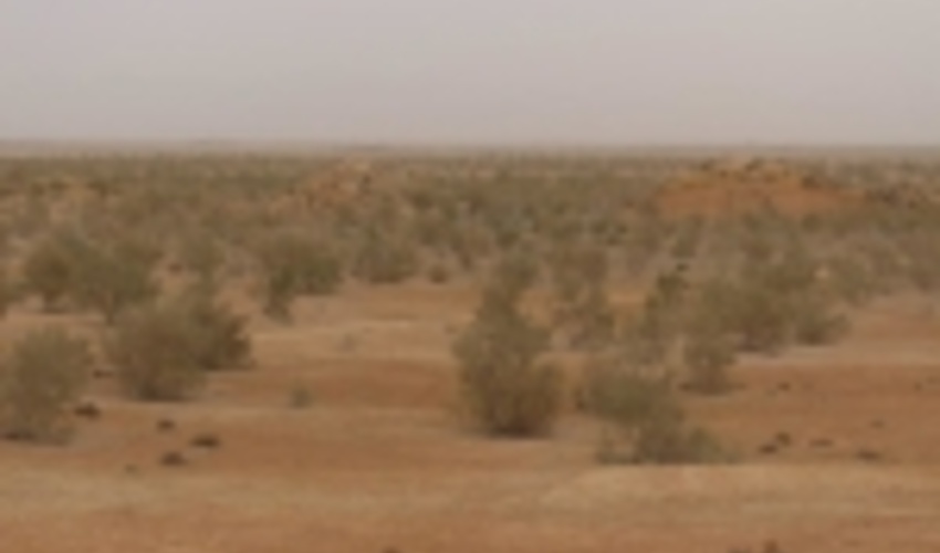 عقب نشینی 45 هزار هکتاری  بیابان  از خراسان جنوبی
