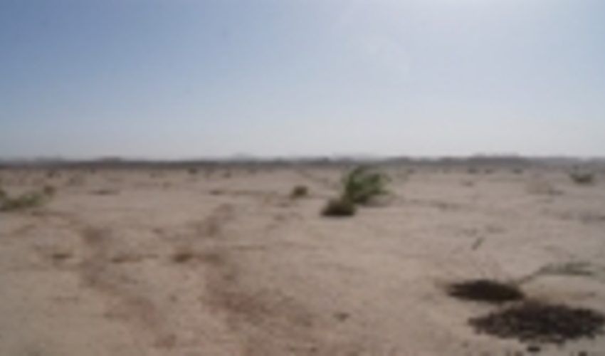 پیشرفت ۹۰درصدی پروژه‌های بیابانزدایی شهرستان گرمسار