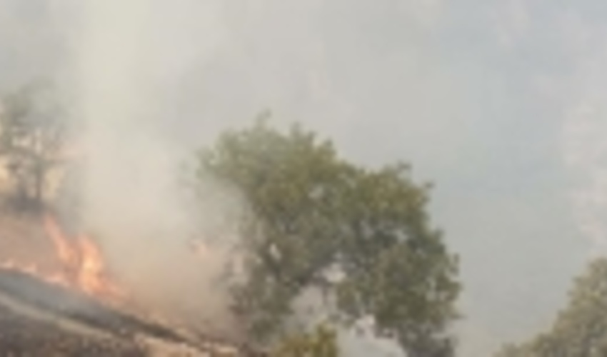 هشدار منابع طبیعی استان مرکزی؛ تیرماه اوج حریق در مناطق ییلاقی است