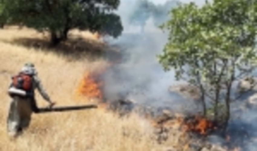 خداقوت رئیس سازمان جنگل‌ها به جنگلبانان و نیروهای داوطلب کرمانشاهی