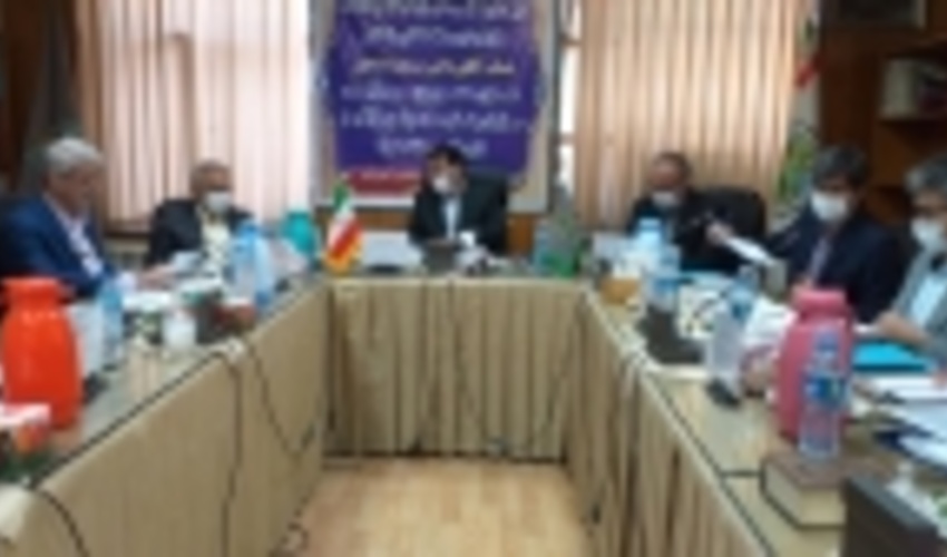 امسال ۳۰ هزار هکتار اراضی ملی زیر کشت زراعت چوب می‌رود