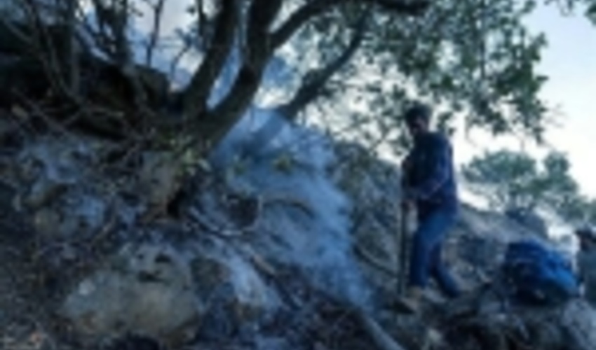 ۳ نفر از عاملان بروز آتش‌سوزی در منطقه جنگلی نمین دستگیر شدند