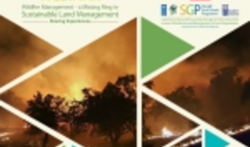 برگزاری وبینار تخصصی مدیریت حریق