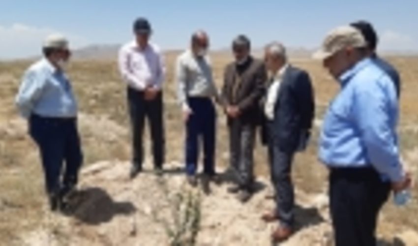 بازدید معاون امور جنگل و رییس مرکز جنگل های خارج از شمال از مراکز تولید نهال استان قزوین