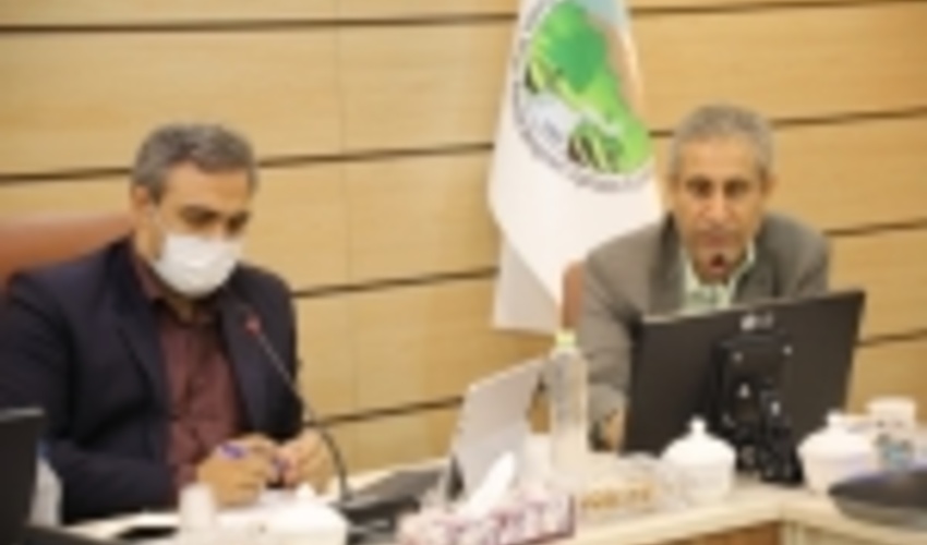 توسعه زراعت چوب با آب های نامتعارف در دستور کار سازمان جنگل ها 