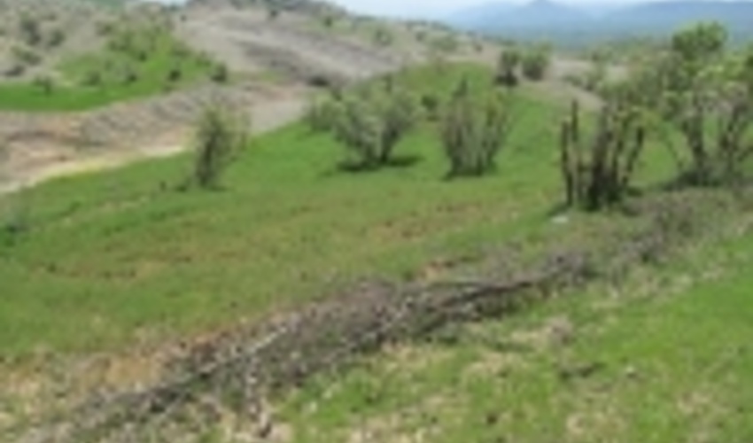 20 هزار هکتار از اراضی ملی و دولتی غرب استان تهران در آستانه صدور اسناد تک برگ قرارگرفت