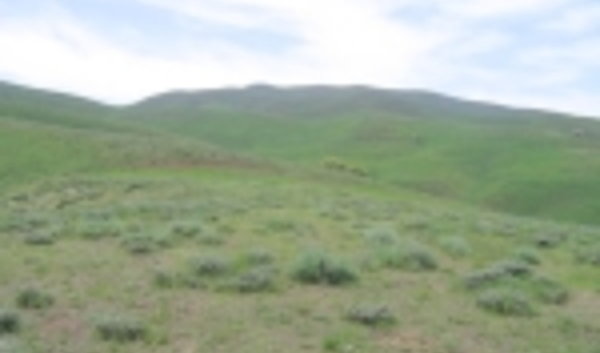 2 هزار هکتار از مراتع شهرستان پاکدشت زیر پوشش عملیات بیولوژیکی قرار گرفته است