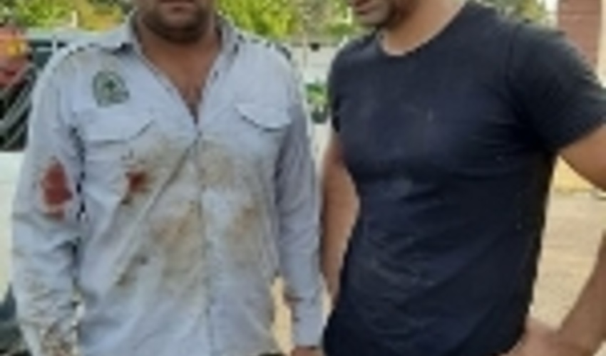 مصدومیت جنگلبانان گرگانی