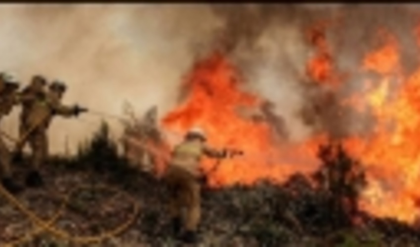 تلاش صدها آتش‌نشان برای اطفای حریق جنگلی در پرتغال