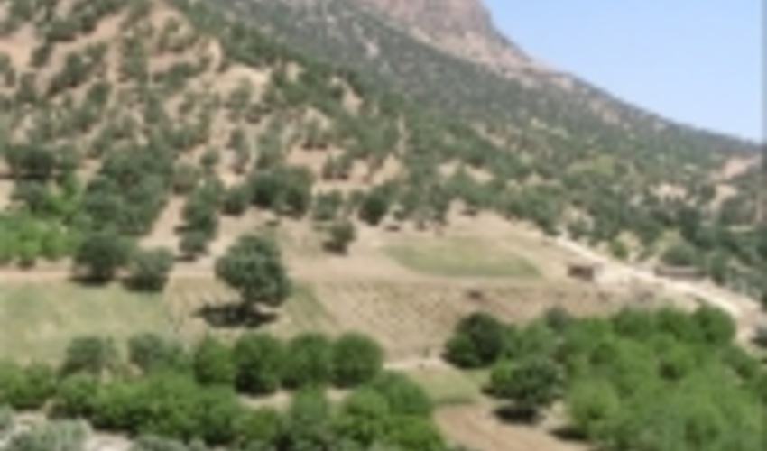 آغاز آبیاری جنگل های دست کاشت در بیرجند