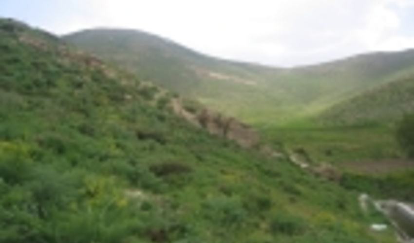 اصلاحیه شیوه نامه فنی و اجرایی بهره برداري از مراتع کشور ابلاغ شد