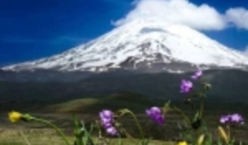 مدیر کل حقوقی سازمان جنگل‌ها: مردم نگران کوه دماوند و جنگل آق مشهد نباشند