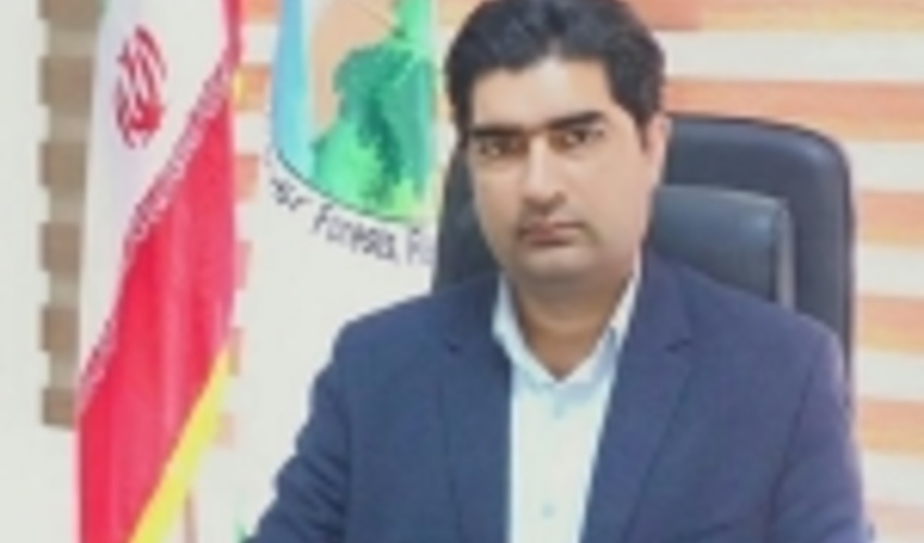 جنوب کرمان/اراضی ملی خسارت دیده از آتش‌سوزی واگذار نمی‌شود