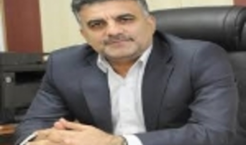 لرستان/کشت 1100 هکتار صنوبر و اُکالیپتوس در سال جهش تولید