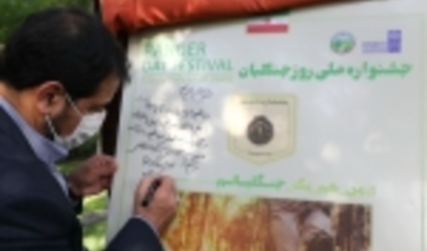 چهارمین جشنواره روز ملی جنگلبان برگزار شد (گزارش تصویری 2)