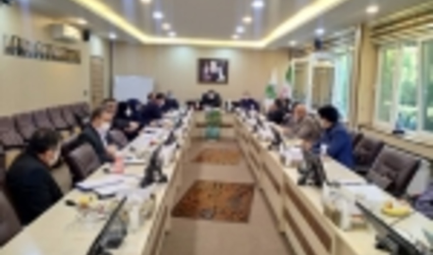 برگزاری هفدهمین جلسه شورای راهبری جهش سازمانی در سازمان جنگل ها