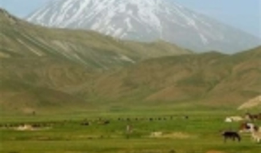 احاله مدیریت 36 هزار و 196هکتار مراتع خراسان شمالی به بهره‌برداران در سال جاری