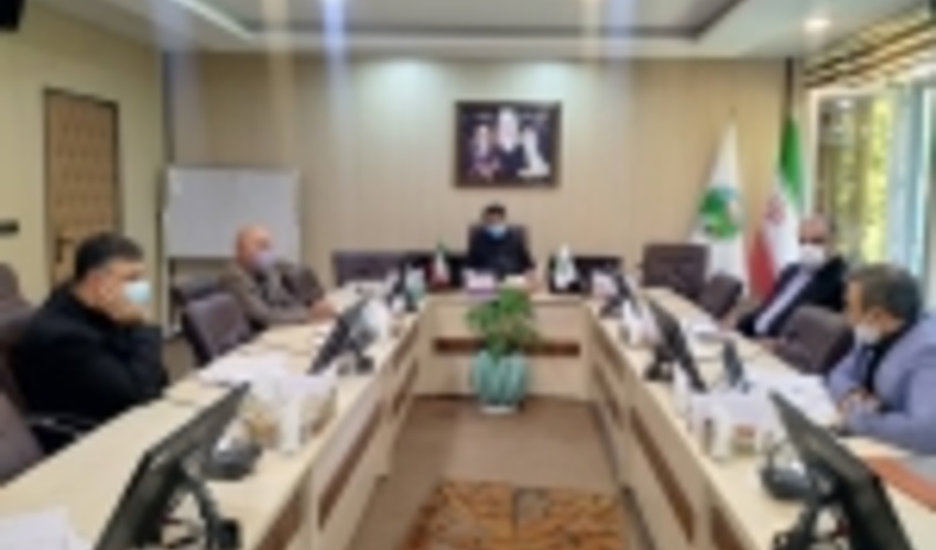 استفاده از ظرفیت های دستگاه‌های دولتی برای توسعه زراعت چوب 