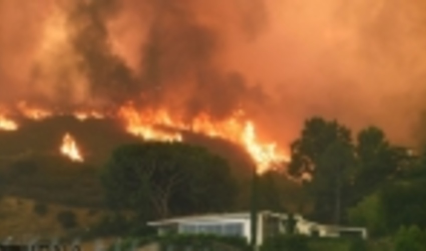 آتش‏، ۸۵۰ هزار هکتار از جنگل‌های کالیفرنیا را نابود کرد