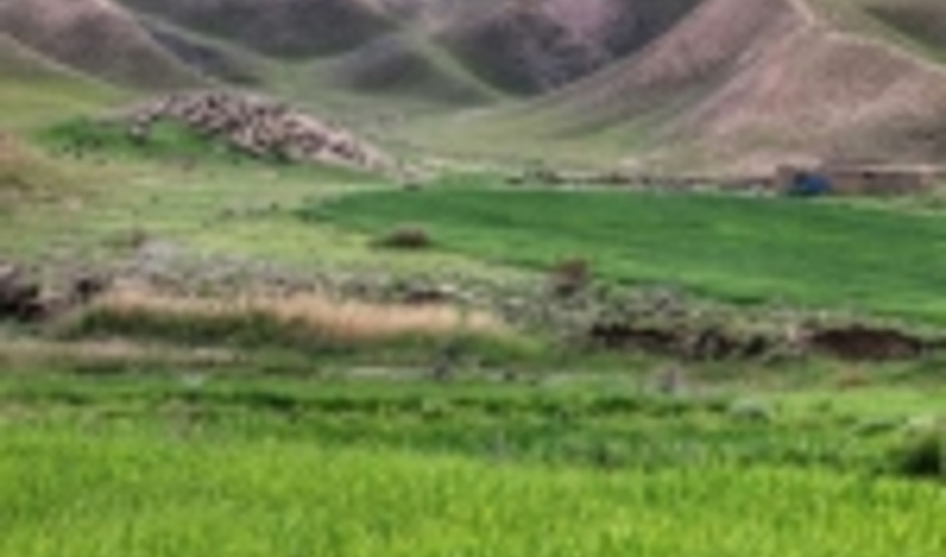 همدان/ 16 هزار هکتار از عرصه های منابع طبیعی اسد آباد مستعد اجرای طرح های آبخیزداری