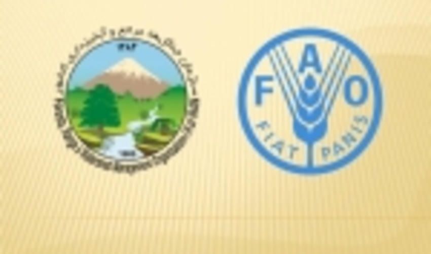 FRWO and FAO Sign MoU on Combat SDSs