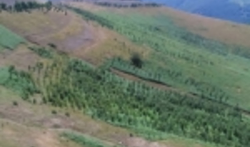 پروژه‌های آبخیزداری استان گیلان ۹۲ درصد پیشرفت فیزیکی دارد