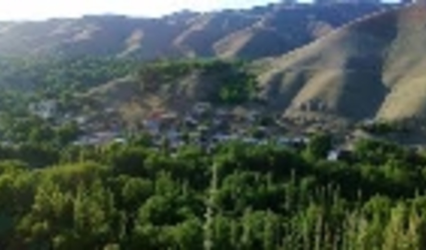 تثبیت مالکیت دولت در اراضی ملی شهرستان ساوجبلاغ