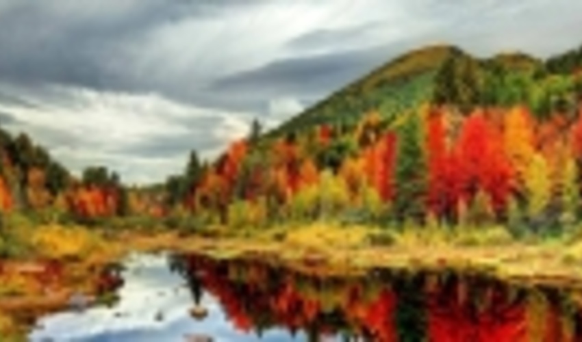 نگاهی و یادی/  آخرین روز تابستان قرن هم  گذشت