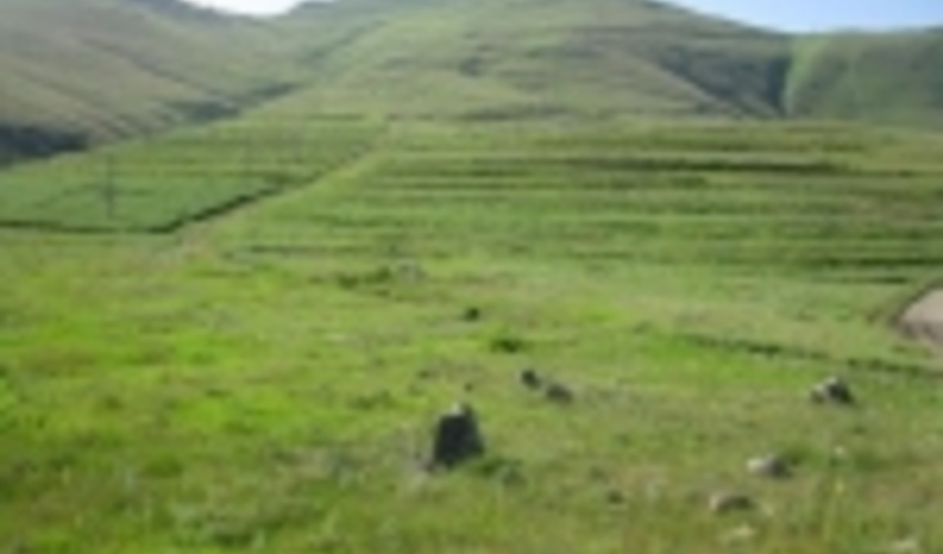 طرح مرتعداری برای بیش از ۶ هزار هکتار اراضی شیروان تهیه می‌شود