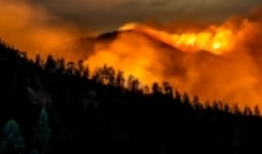 As wildfires continue in western United States, biologists fear for vulnerable species