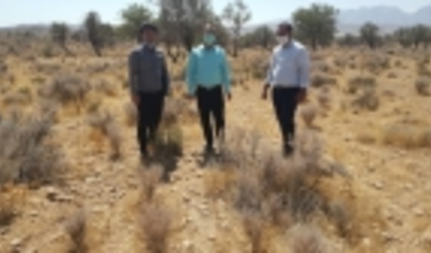 فارس/ اجرای عملیات بیولوژیک در سطح 400 هکتار در شهرستان فیروزآباد