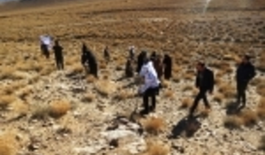 همدان/مشکل اشتغال را می توان با دستان سخاوتمند طبیعت حل کرد