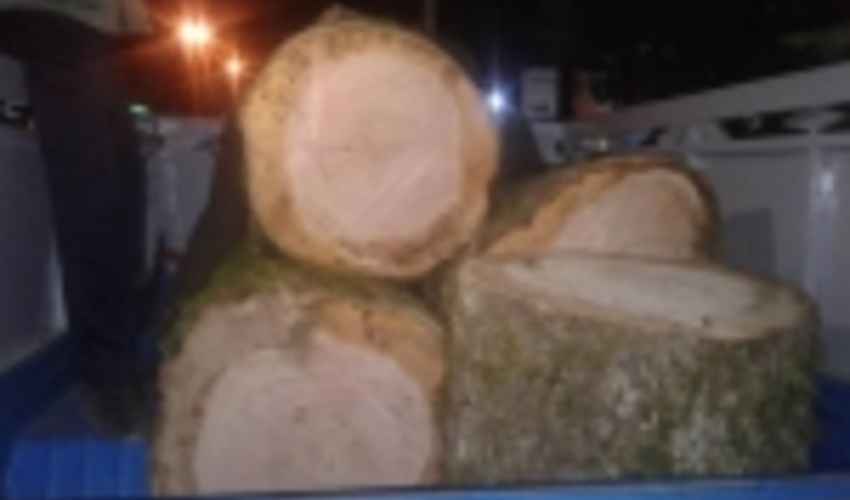 متخلف شرور پس از ماهها تلاش شبانه روزی ماموران یگان حفاظت علی آباد سرانجام به دام قانون افتاد