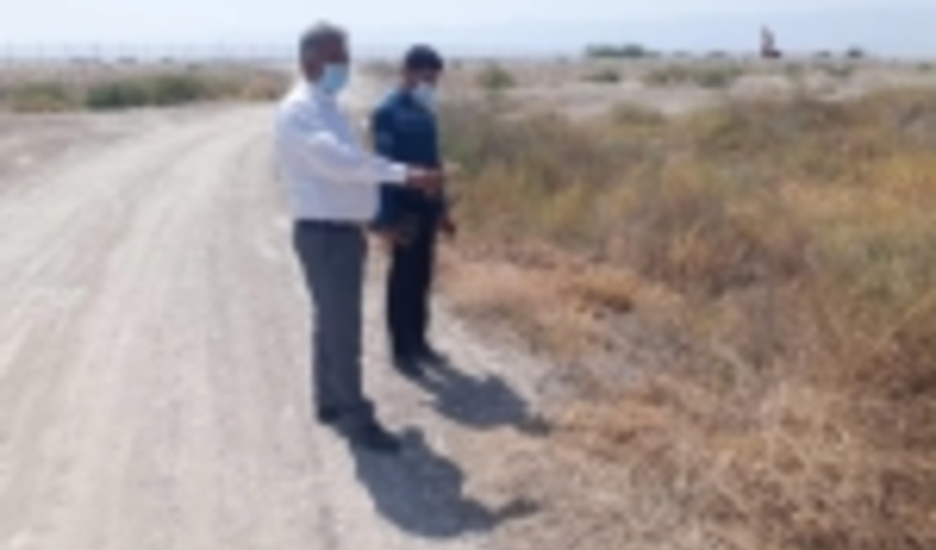 اجرای طرح جنگلکاری درحاشیه مسیر منطقه ویژه اقتصادی صنایع انرژی بَرلامرد