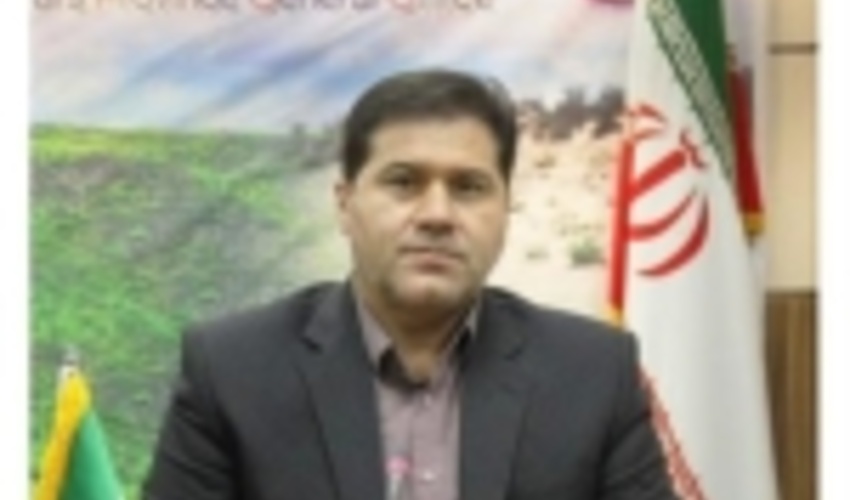 مدیرکل منابع طبیعی و آبخیزداری فارس: برخورد با متخلفان برداشت غیر مجاز بذر بَنه کوهی