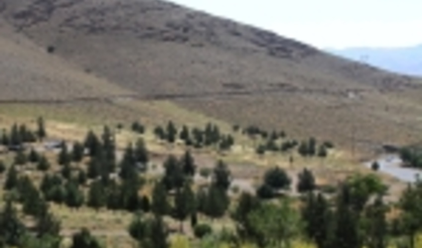 بیش از ۲۱۰۰ هکتار نهال و بوته‌کاری در حاشیه دریاچه ارومیه انجام شد