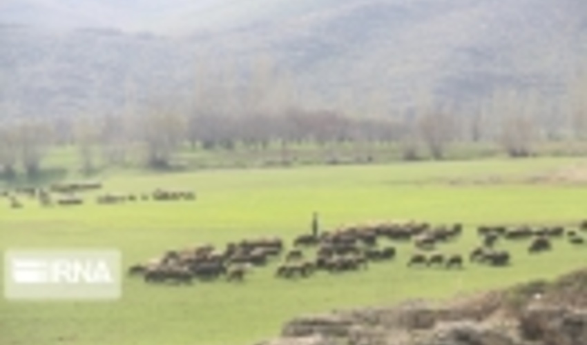 احاله مدیریت 20 طرح مرتعداری در گستره 52 هزار هکتار از مراتع خراسان شمالی به بهره‌برداران در سال جاری