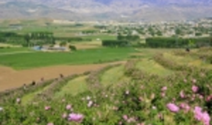 سامانه جامع تخصیص اراضی ملی در چهارمحال و بختیاری بصورت پایلوت راه اندازی شد