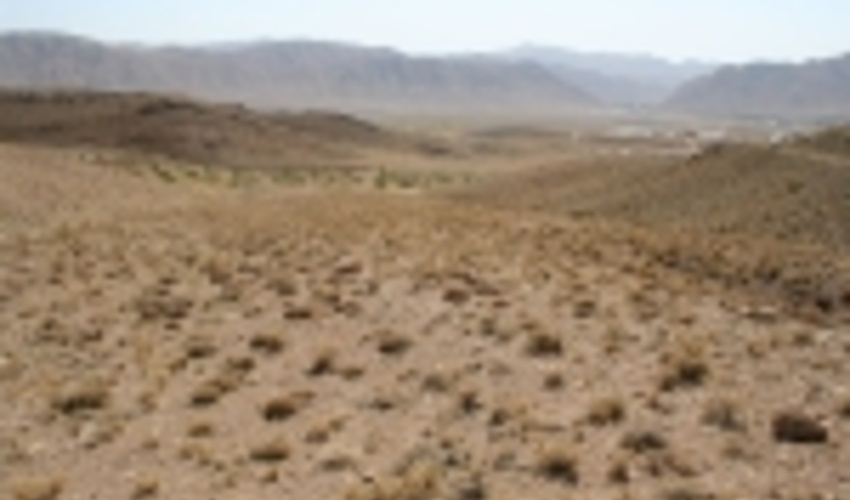 آزادسازی ۱۲۵۵ هکتار از اراضی ملی در شهرستان شادگان