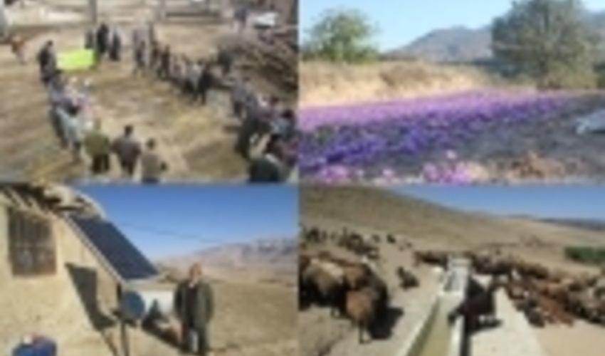 سمنان/صندوق‌های خرد روستایی راه تثبیت اشتغال/ فعالیت ۱۱ صندوق در دامغان